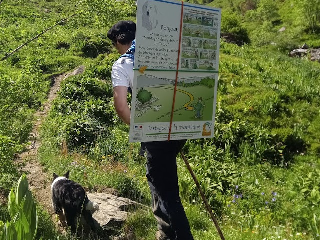 Offre d'emploi Berger.e d'Appui 2026